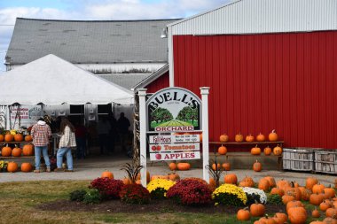 Eastford, Connecticut 'ta Buells Orchard, 15 Ekim 2023' te görüldüğü gibi..