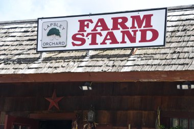 POMFRET CT - 15 Ekim 2023 'te Pomfret, Connecticut' ta görülen Lapsley Bahçesi.