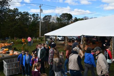 POMFRET CT - 15 Ekim 2023 'te Pomfret, Connecticut' ta görülen Lapsley Bahçesi.