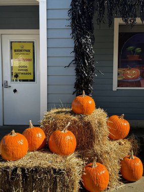 Hershey 's Çikolata Dünyası' ndaki Hershey Parkı, 22 Ekim 2023 'te görüldüğü gibi..