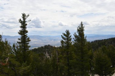 Güney Tahoe, Kaliforniya 'daki bir yürüyüş patikasından Carson Vadisi Tepesi