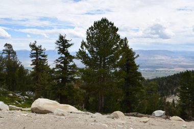 Güney Tahoe, Kaliforniya 'daki bir yürüyüş patikasından Carson Vadisi Tepesi