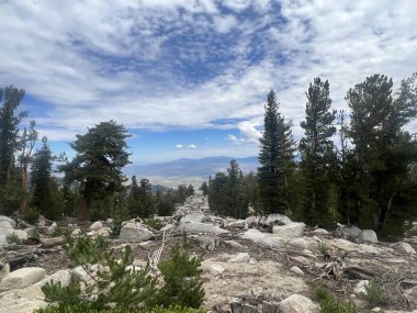 Güney Tahoe, Kaliforniya 'daki bir yürüyüş patikasından Carson Vadisi Tepesi