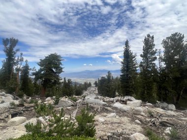 Güney Tahoe, Kaliforniya 'daki bir yürüyüş patikasından Carson Vadisi Tepesi