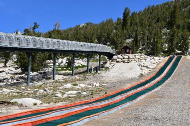 Güney Gölü TAHOE CA - 15 Ağustos 2023 'te Güney Tahoe, Kaliforniya' daki Heavenly Ski Resort 'ta tüp..