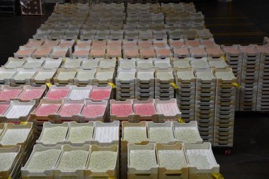 FAIRFIELD CA - 12 AUG Jelly Belly Factory Tour Fairfield, California 'da, 12 Ağustos 2023' te görüldüğü gibi.