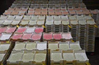 FAIRFIELD CA - 12 AUG Jelly Belly Factory Tour Fairfield, California 'da, 12 Ağustos 2023' te görüldüğü gibi.