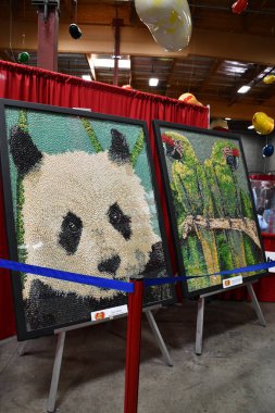 Fairfield, Kaliforniya 'daki Jöle Göbek Müzesi, 12 Ağustos 2023' te görüldüğü gibi..