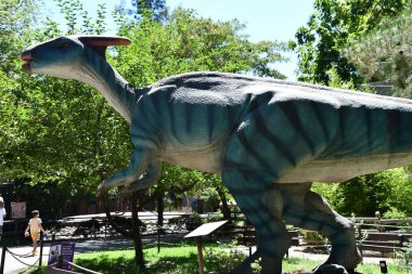 SACRAMENTO CA - 12 AUG: 12 Ağustos 2023 'te Sacramento Hayvanat Bahçesi' nde görülen dinozor Safari.