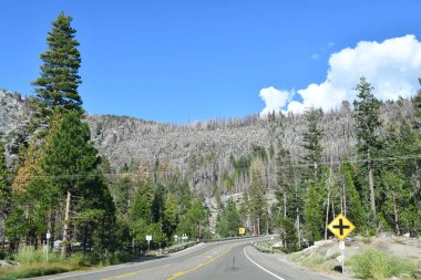 El Dorado Ulusal Ormanı Sierra Nevada, Kaliforniya