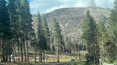 El Dorado Ulusal Ormanı Sierra Nevada, Kaliforniya