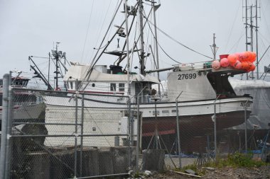 ICY STRAIT, ALASKA - 24 AUG: Alaska, ABD 'deki Icy Boğazı Noktası' nda Hoonah köyü civarında, 24 Ağustos 2023 'te görüldüğü gibi.