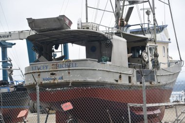 ICY STRAIT, ALASKA - 24 AUG: Alaska, ABD 'deki Icy Boğazı Noktası' nda Hoonah köyü civarında, 24 Ağustos 2023 'te görüldüğü gibi.