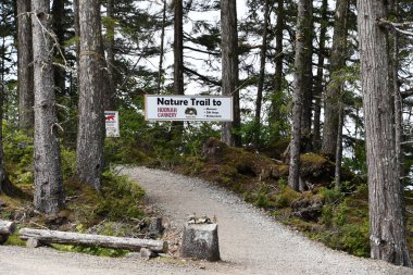 ICY STRAIT, ALASKA - 24 AUG: Alaska, ABD 'deki Icy Strait Point kasabası, 24 Ağustos 2023.