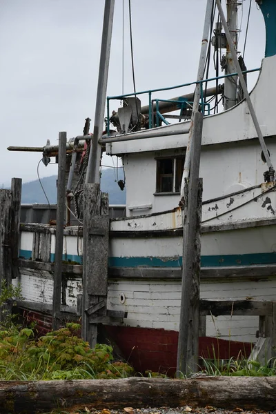 ICY STRAIT, ALASKA - 24 AUG: Alaska, ABD 'deki Icy Strait Point kasabası, 24 Ağustos 2023.