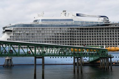 ICY STRAIT, ALASKA - 24 AUG: 24 Ağustos 2022 'de ABD' nin Alaska kentindeki Icy Boğazı Noktasına yanaşan Denizlerin Kraliyet Karayip Kuantum 'u.