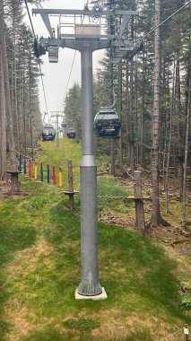 ICY STRAIT, ALASKA - 24 AUG: Işınlayıcı Gondolu Alaska, ABD 'de Icy Boğazı Noktasında, 24 Ağustos 2022 tarihinde görüldüğü gibi.