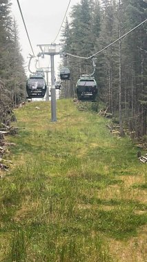 ICY STRAIT, ALASKA - 24 AUG: Işınlayıcı Gondolu Alaska, ABD 'de Icy Boğazı Noktasında, 24 Ağustos 2022 tarihinde görüldüğü gibi.