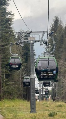 ICY STRAIT, ALASKA - 24 AUG: Işınlayıcı Gondolu Alaska, ABD 'de Icy Boğazı Noktasında, 24 Ağustos 2022 tarihinde görüldüğü gibi.