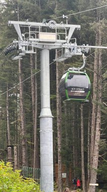 ICY STRAIT, ALASKA - 24 AUG: Işınlayıcı Gondolu Alaska, ABD 'de Icy Boğazı Noktasında, 24 Ağustos 2022 tarihinde görüldüğü gibi.