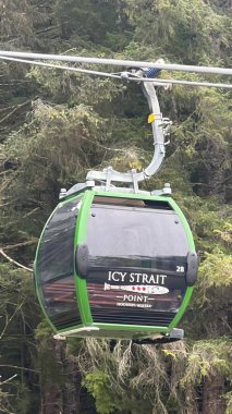 ICY STRAIT, ALASKA - 24 AUG: Işınlayıcı Gondolu Alaska, ABD 'de Icy Boğazı Noktasında, 24 Ağustos 2022 tarihinde görüldüğü gibi.