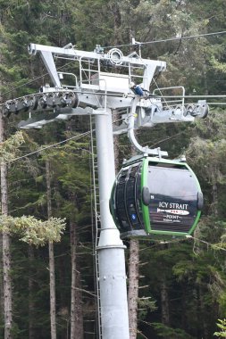ICY STRAIT, ALASKA - 24 AUG: Işınlayıcı Gondolu Alaska, ABD 'de Icy Boğazı Noktasında, 24 Ağustos 2022 tarihinde görüldüğü gibi.