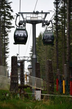 ICY STRAIT, ALASKA - 24 AUG: Işınlayıcı Gondolu Alaska, ABD 'de Icy Boğazı Noktasında, 24 Ağustos 2022 tarihinde görüldüğü gibi.