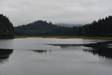 Alaska 'daki Buz Boğazı manzarası