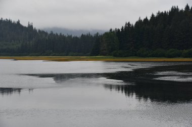 Alaska 'daki Buz Boğazı manzarası