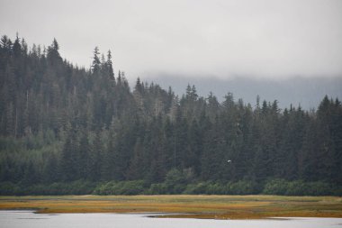 Alaska 'daki Buz Boğazı manzarası