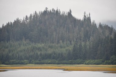 Alaska 'daki Buz Boğazı manzarası