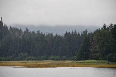 Alaska 'daki Buz Boğazı manzarası