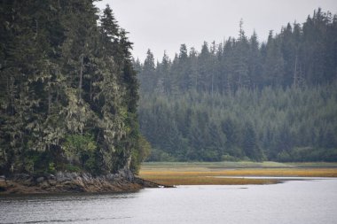 Alaska 'daki Buz Boğazı manzarası