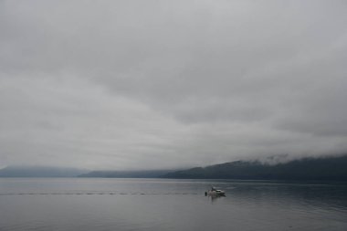 Alaska 'daki Buz Boğazı manzarası