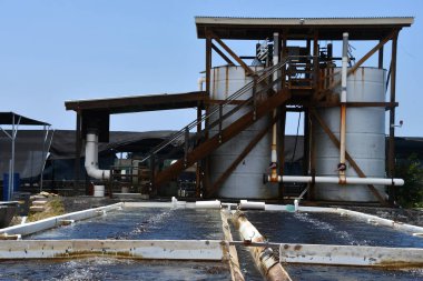 KAILUA-KONA HI - 12 Ağustos 2022 'de Kailua-Kona, Hawaii' de görülen Büyük Ada Abalone Aquafarm.