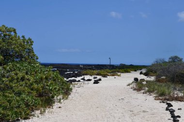 Hawaii 'deki Büyük Ada' da Kailua Kona 'daki Keahole Point' in görüntüsü