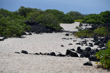 Hawaii 'deki Büyük Ada' da Kailua Kona 'daki Keahole Point' in görüntüsü