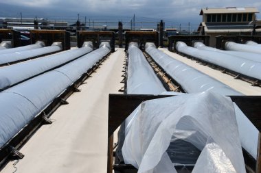 KAILUA KONA HI - 12 AUG: Kailua Kona 'da Kona Tuz Çiftliği Turu, Hawaii, ABD' de 12 Ağustos 2023 'te görüldüğü gibi.