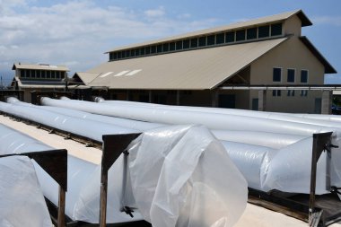 KAILUA KONA HI - 12 AUG: Kailua Kona 'da Kona Tuz Çiftliği Turu, Hawaii, ABD' de 12 Ağustos 2023 'te görüldüğü gibi.