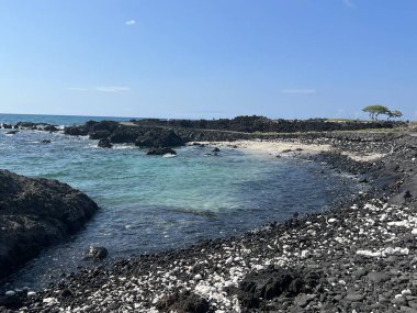 Hawaii 'deki Büyük Ada' da Kaupulehu 'daki Kikaua Point Sahil Parkı