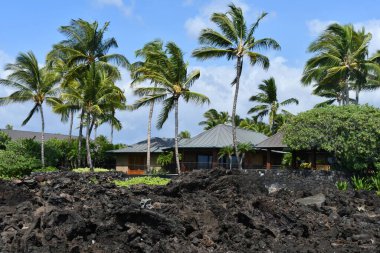 Hawaii 'deki Büyük Ada' da Kaupulehu 'daki Kikaua Point Sahil Parkı