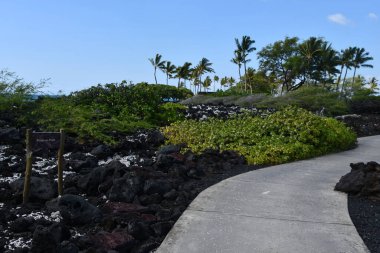 Hawaii 'deki Büyük Ada' da Kaupulehu 'daki Kikaua Point Sahil Parkı