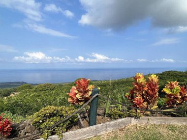 Hawaii, ABD 'deki Büyük Ada' dan Kealakekua 'dan görüntü