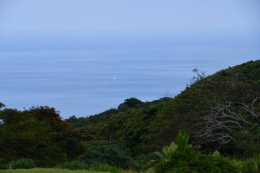 Hawaii, ABD 'deki Büyük Ada' dan Kealakekua 'dan görüntü