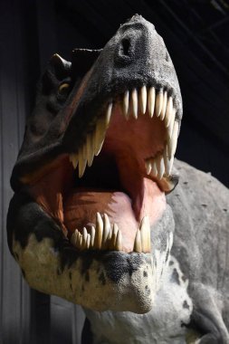 BRANSON MO - 4 Temmuz 2023 'te Branson, Missouri' deki Dinozor Müzesi.