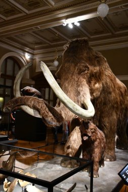 PRAG, CZECH Cumhuriyet - 7 Temmuz 2022 'de Çek Cumhuriyeti Prag' daki Ulusal Müze.