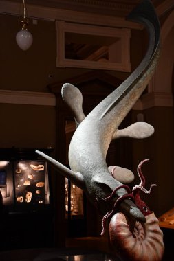 PRAG, CZECH Cumhuriyet - 7 Temmuz 2022 'de Çek Cumhuriyeti Prag' daki Ulusal Müze.