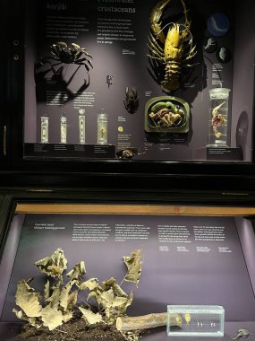 PRAG, CZECH Cumhuriyet - 7 Temmuz 2022 'de Çek Cumhuriyeti Prag' daki Ulusal Müze.