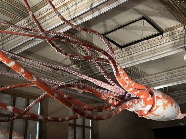 PRAG, CZECH Cumhuriyet - 7 Temmuz 2022 'de Çek Cumhuriyeti Prag' daki Ulusal Müze.