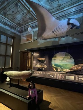 PRAG, CZECH Cumhuriyet - 7 Temmuz 2022 'de Çek Cumhuriyeti Prag' daki Ulusal Müze.